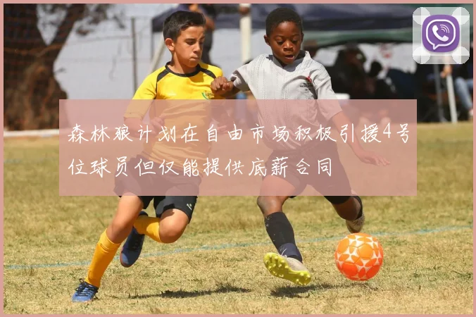 森林狼计划在自由市场积极引援4号位球员但仅能提供底薪合同