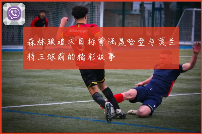 森林狼追求目标曾涵盖哈登与莫兰特三球前的精彩故事